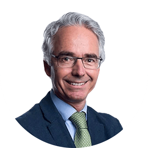 bernardo trindade